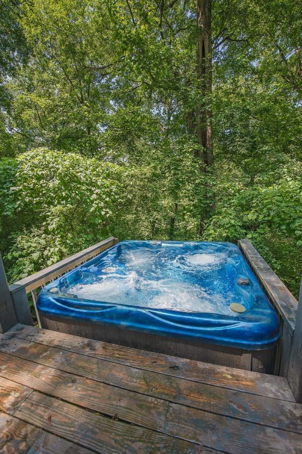 Eden Cabin Forested Tiny Home On Lookout Mtn Чаттануга Экстерьер фото